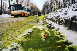 Ahora en Rusia la nieve es de color verde (FOTOS)