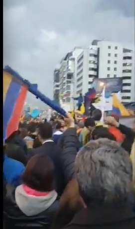 Ecuatorianos gritan a su CNE: “No nos da la gana una dictadura como la venezolana” (VIDEO)