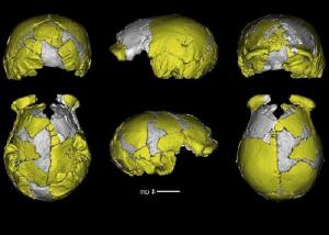 Confirman que cráneos aparecidos en China pertenecen a una enigmática especie humana