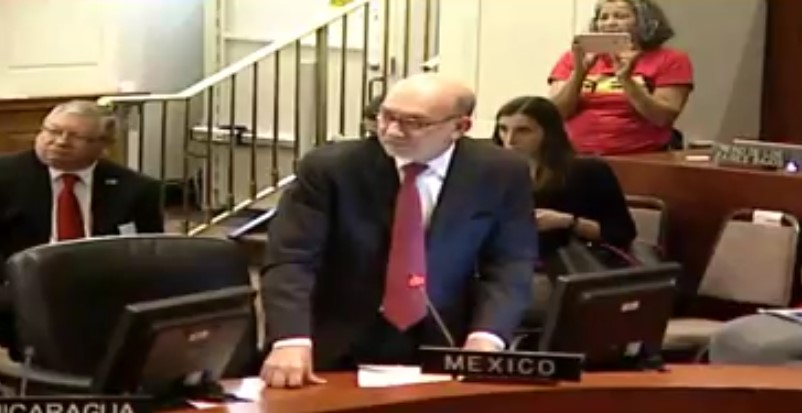 Países se retiran de sesión OEA porque representante bolivariano no mantuvo el decoro atacando a todos