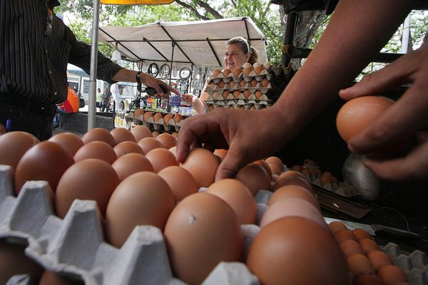 Medio cartón de huevos se ubica en 6.300 bolívares