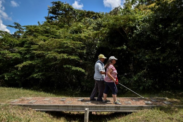 A couple of visually impaired people hike through a rural area of Palmira, Colombia, during the eighth version of Tifloencuentro on August 14, 2017. 69 people with visual impairment from eight countries of Latin America and Europe take part in the "Tifloencuentro", a tourism event in which blind and people with low vision meet in a cultural exchange of life experiences. / AFP PHOTO / LUIS ROBAYO