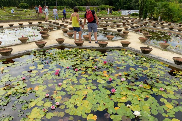 People visit the Latour-Marliac water lily nursery in Le Temple-sur-Lot, southwestern France, on August 23, 2017. The Latour-Marliac nursery, a first of its kind in Europe, has been growing coloured water lilies since 1870 and was a source of inspiration for French painter Claude Monet's "Water Lilies" (Nympheas) series. / AFP PHOTO / Nicolas TUCAT