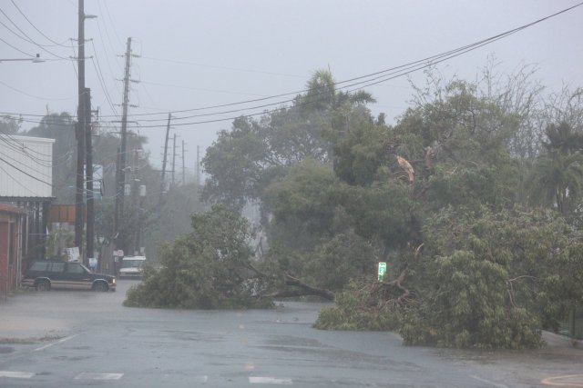 Fallen trees block a street as Hurricane Irma howls past Puerto Rico after thrashing several smaller Caribbean islands, in Fajardo, Puerto Rico September 6, 2017.  REUTERS/Alvin Baez