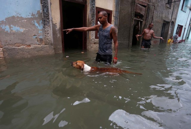 A man gestures to his dog on a flooded street, after the passing of Hurricane Irma, in Havana, Cuba September 10, 2017. REUTERS/Stringer NO SALES. NO ARCHIVES