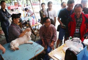 Hombre instaló clínica en China para cortar cuerdas vocales de perros ruidosos