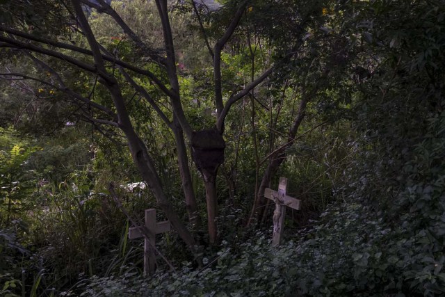 CAR04. CARACAS (VENEZUELA), 01/11/2017.- Vista de unas cruces en medio de la maleza hoy, miércoles 1 de noviembre del 2017, en el Cementerio General del Sur, en Caracas (Venezuela). La capital venezolana celebra este jueves el Día de los Muertos en medio de denuncias de profanación y mal estado de los cementerios, según reseñan hoy medios locales, una fecha en la que tradicionalmente los caraqueños acuden a las necrópolis para llevarle flores a sus muertos. EFE/MIGUEL GUTIERREZ