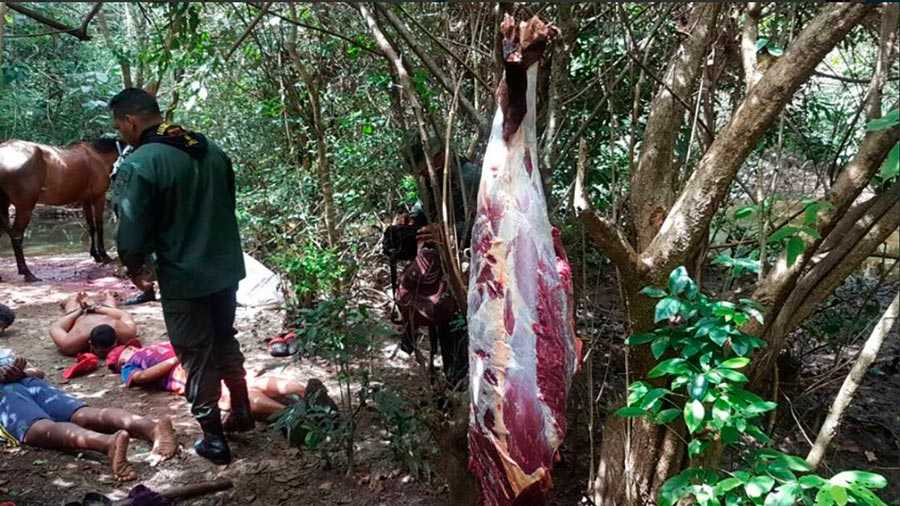 Le ponen los ganchos tras descuartizar caballos para venderlos como carne de res