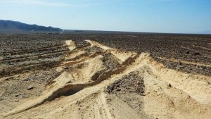 Piden 9 meses de prisión preventiva para camionero que dañó Líneas de Nazca