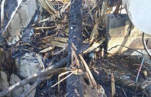 Fuego afecta parte de la casa de Ricardo Montaner en República Dominicana