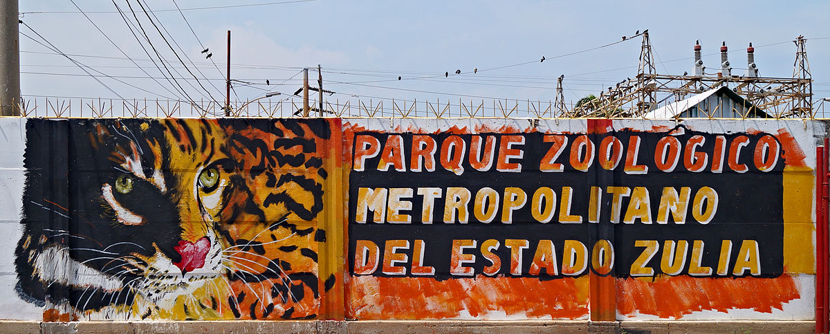 Fiscalía ordenó cierre del zoológico de Zulia: No está apto para recibir  a los visitantes