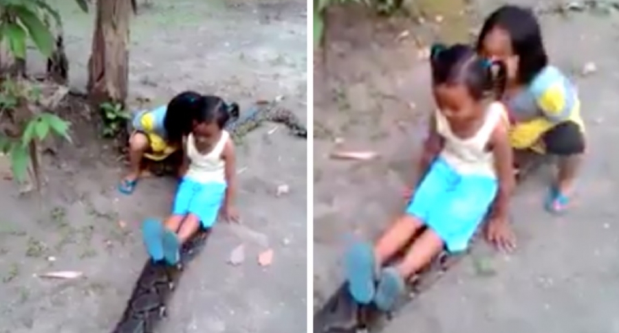 VIRAL: Estas niñas jugaron al “trencito” con una enorme anaconda