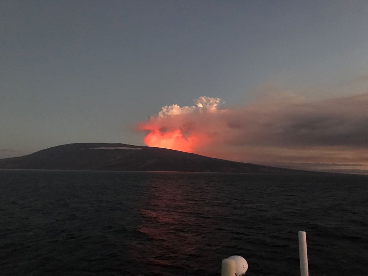 Erupciona volcán en archipiélago Galápagos y emite lava que llega al mar (Videos y fotos)