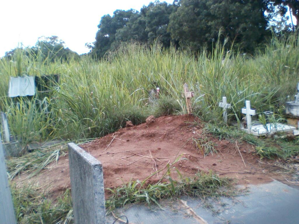 Vecinos de Independencia denuncian lamentable estado del Cementerio Municipal (Fotos)