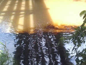 Logro revolucionario: Derrame de petróleo dejó sin agua a habitantes de Monagas