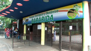Trabajadores del zoológico de Barquisimeto aseguran que varios animales han muerto por falta de alimento (video)
