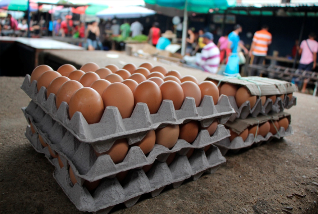 El cartón de huevo supera los 800 mil bolívares en Lara