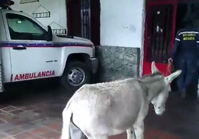 Presentan en tribunales a bomberos que difundieron video comparando a Maduro con un burro