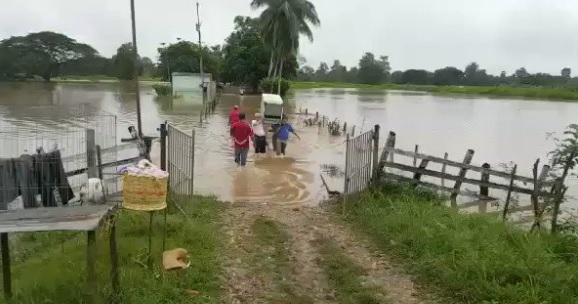 En video: Productores intentan salvar lo que pueden ante la crecida del Río Catatumbo en el Zulia