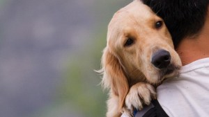 VIDEO: Emotivo reencuentro entre un perro y su dueño tras 3 años sin verse