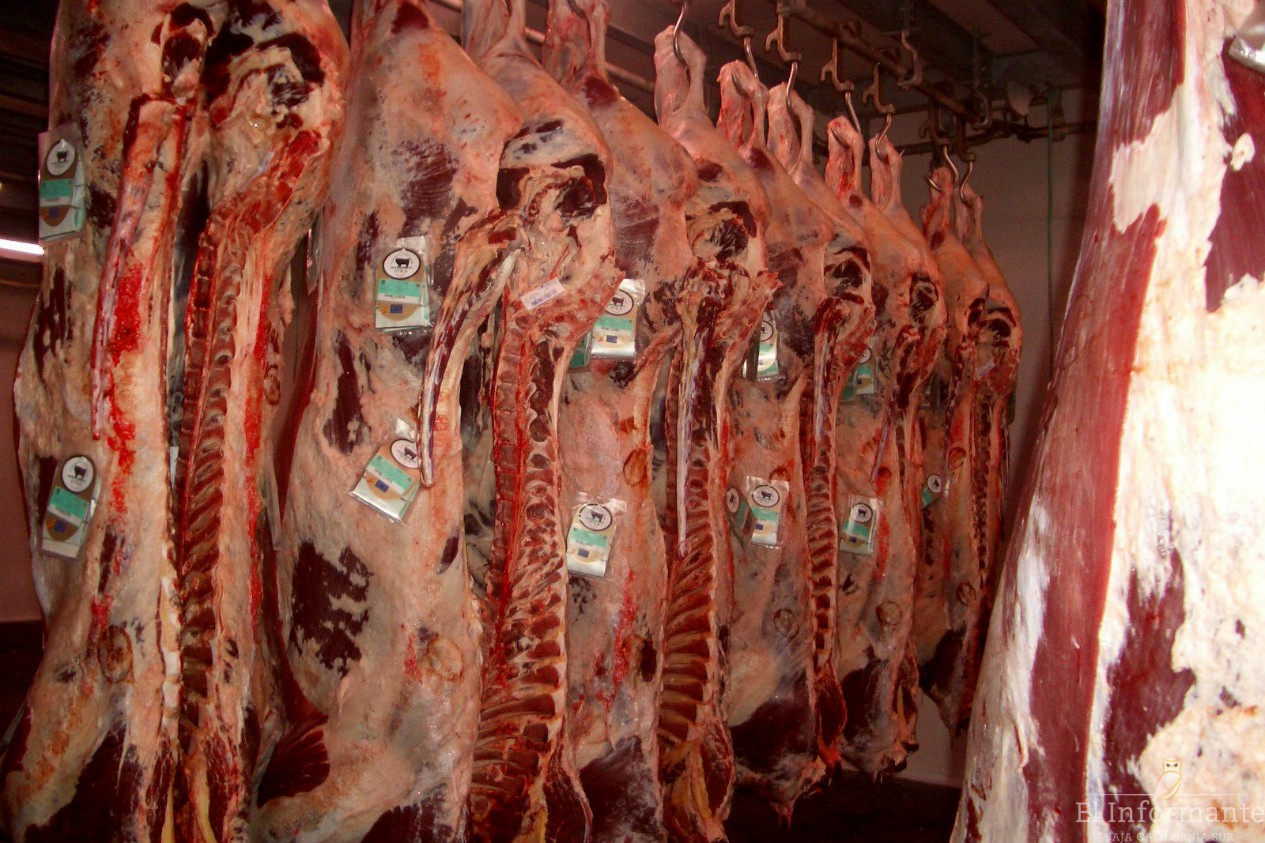 Argentina reguló cupos para exportar carne y lácteos a Colombia y Venezuela