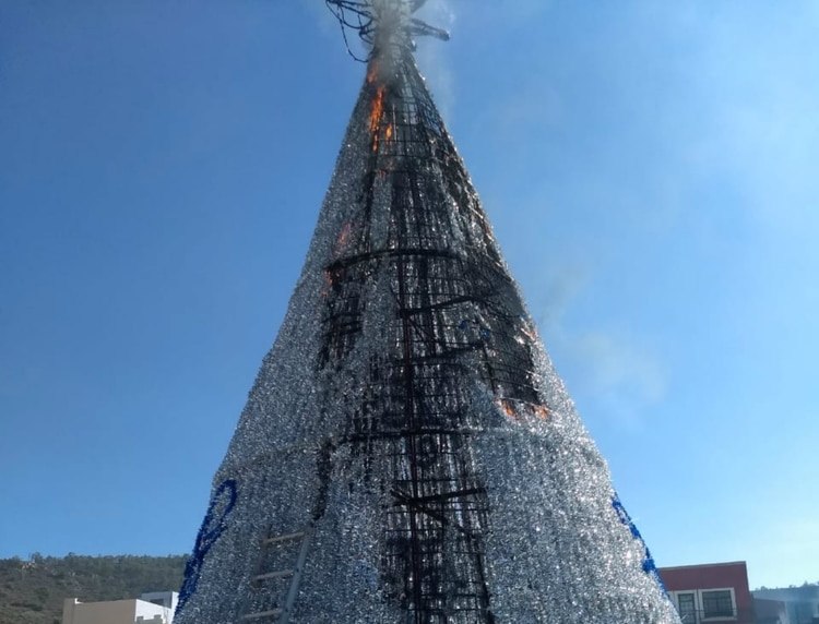 Modo Grinch: Esta joyita quemó un árbol de Navidad en México porque odia la festividad (Fotos)