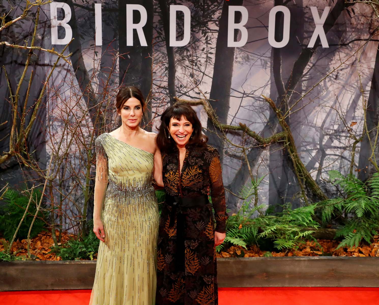 Netflix dice que Bird Box será vista por 80 millones de personas en un mes, no da datos sobre Roma