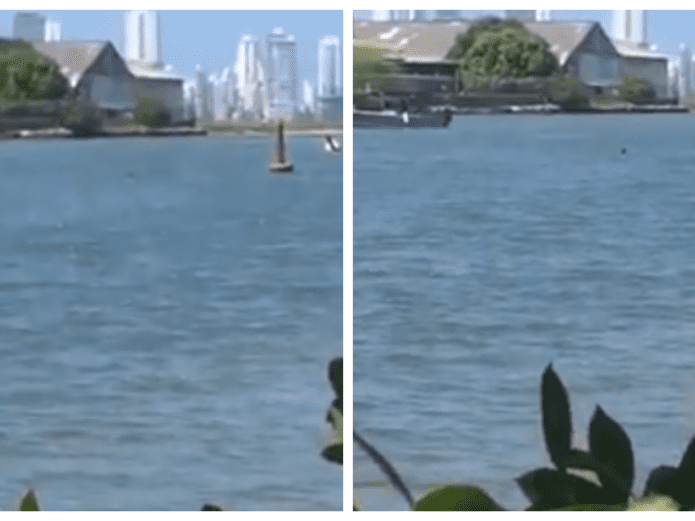 Hombre es lanzado al mar y lo graban mientras se ahoga (VIDEO)