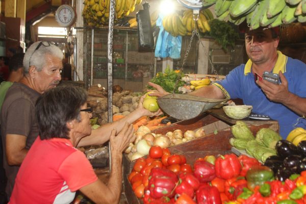 Vendedores agrícolas de Maiquetía temen no recibir mercancía por falta de gasolina