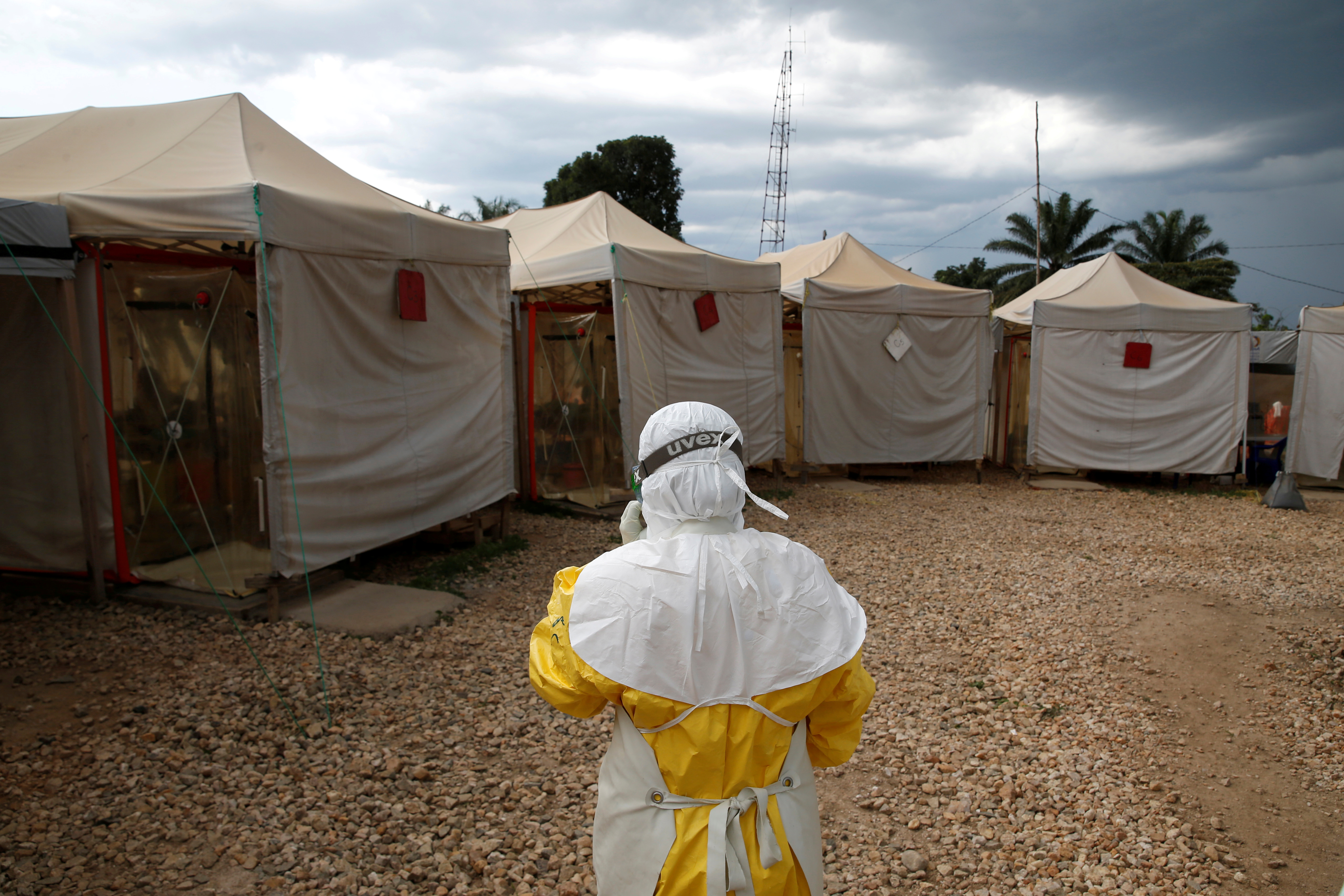 La OMS no descarta propagación regional e internacional del ébola desde RD del Congo