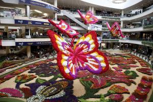 En FOTOS: El tapiz de 189.000 flores y mariposas en vuelo que pinta de colores a Medellín