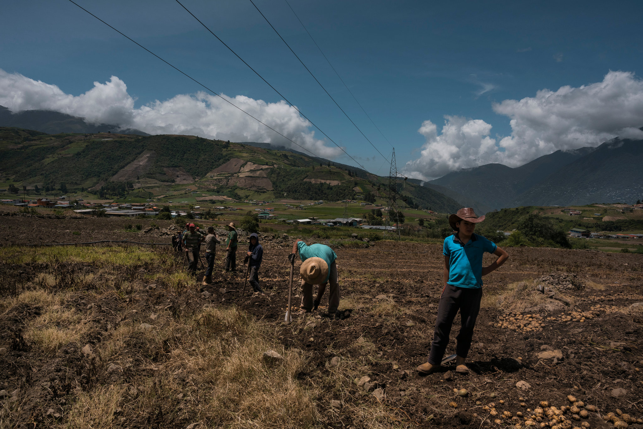 Raffalli cuestionó el nuevo invento del chavismo: entrega de tierras de cultivo venezolanas a Irán