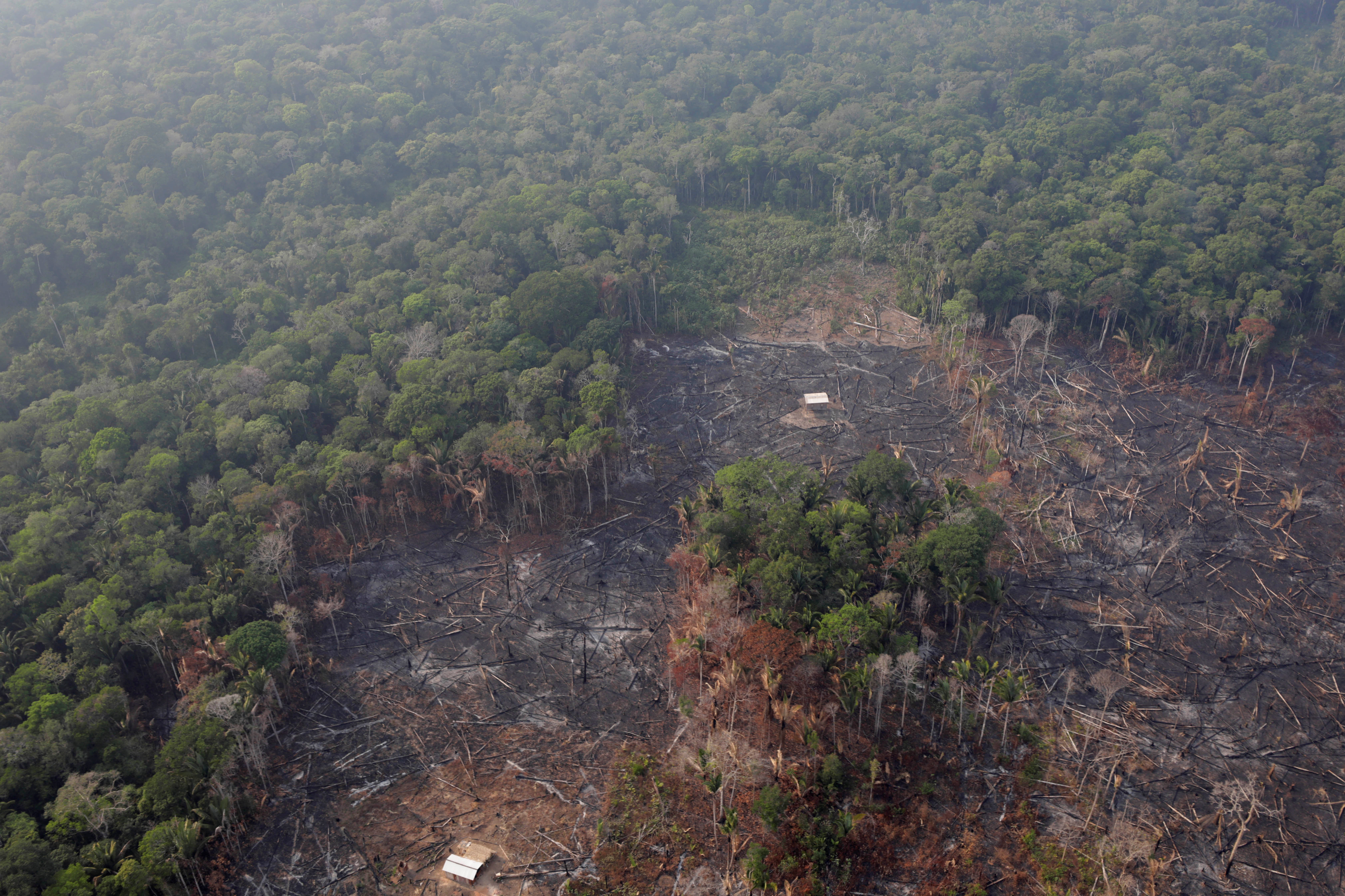 ¿Los incendios del Amazonas fueron provocados por ONG?