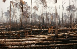 Brasil prohíbe por 60 días el uso de fuego para preparar siembra en Amazonía