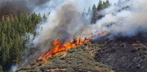 Incendio fuera de control quema miles de hectáreas en Gran Canaria