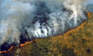 EEUU listo para ayudar a Brasil a combatir los fuegos en la Amazonía