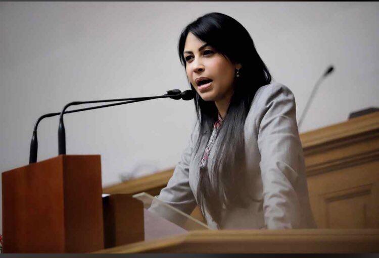 Delsa Solórzano: El régimen tiene un año con Requesens secuestrado