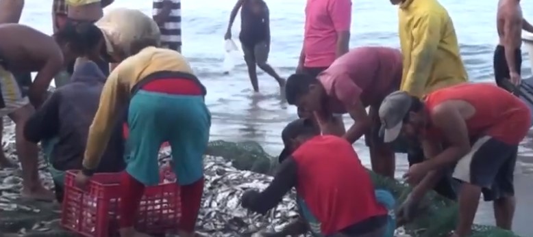 El trueque del pescado, la nueva modalidad usada en el oriente de Venezuela para subsistir (VIDEO)