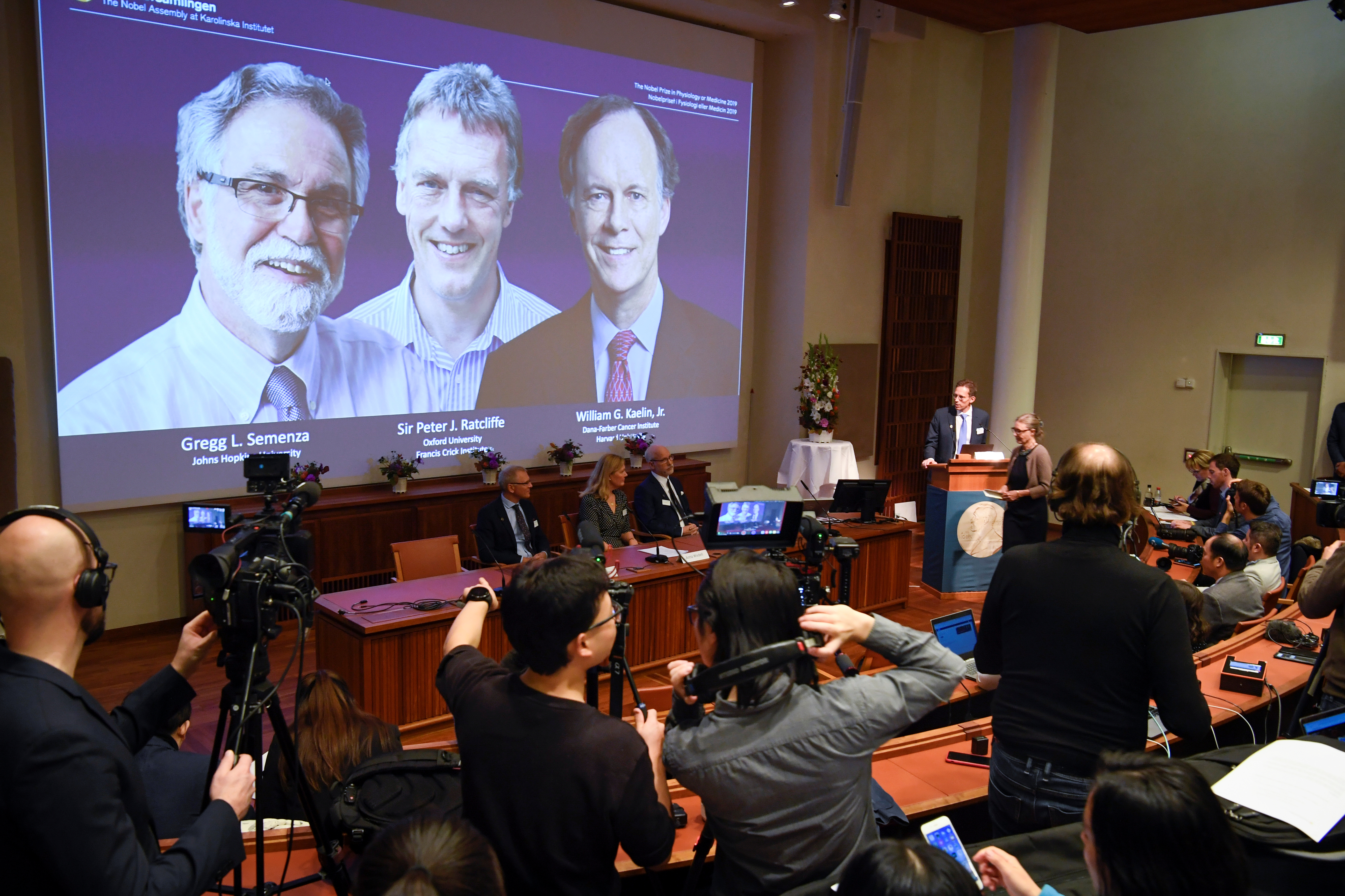 Nobel de Medicina para William Kaelin, Gregg Semenza y Peter Ratcliffe