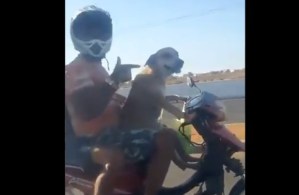 Pa’ que te quedes loco… Firualis es quien maneja la moto (VIDEO + KHÉ)