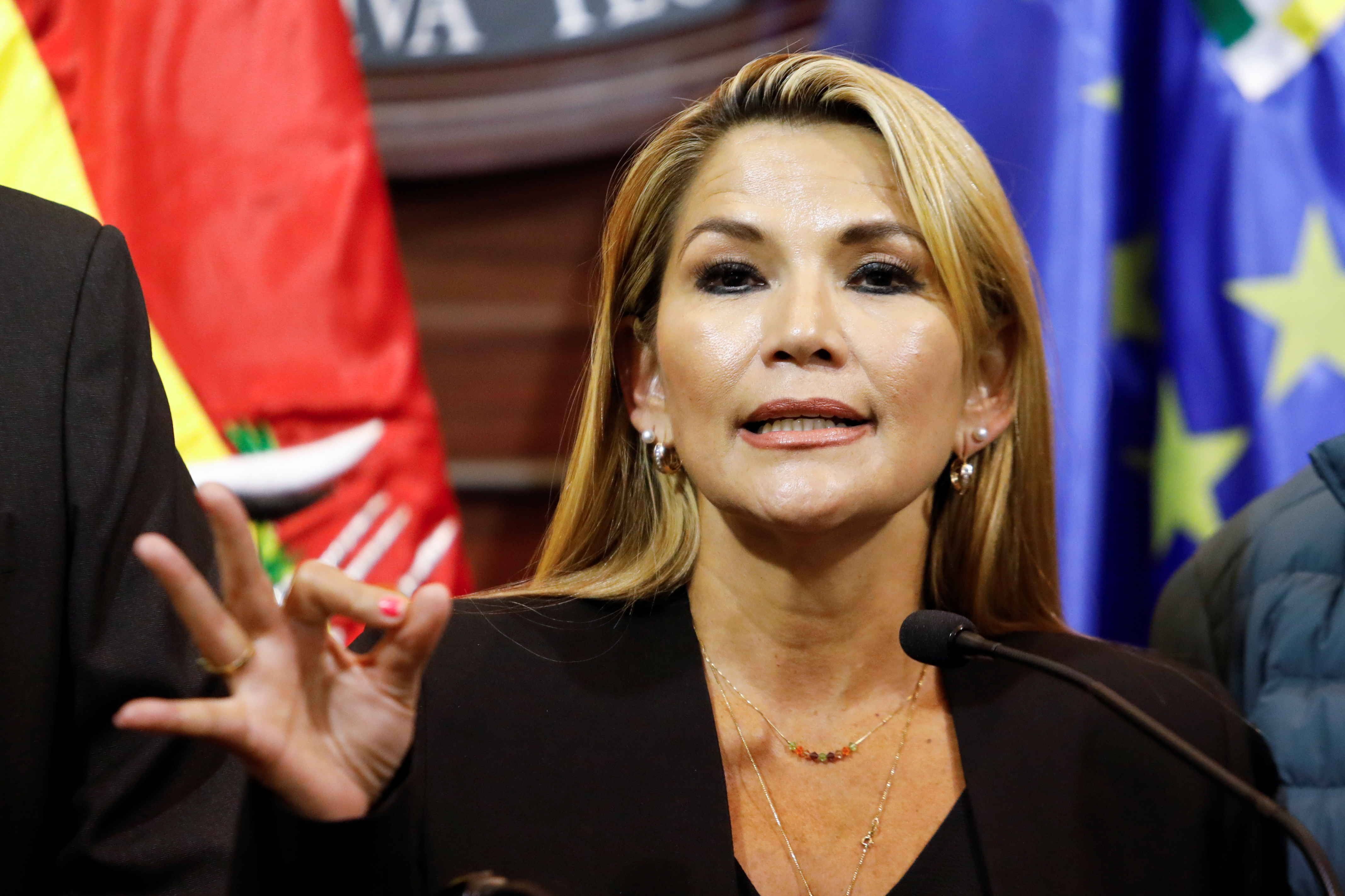 Las primeras IMÁGENES de la captura de la ex presidenta de Bolivia Jeanine Áñez