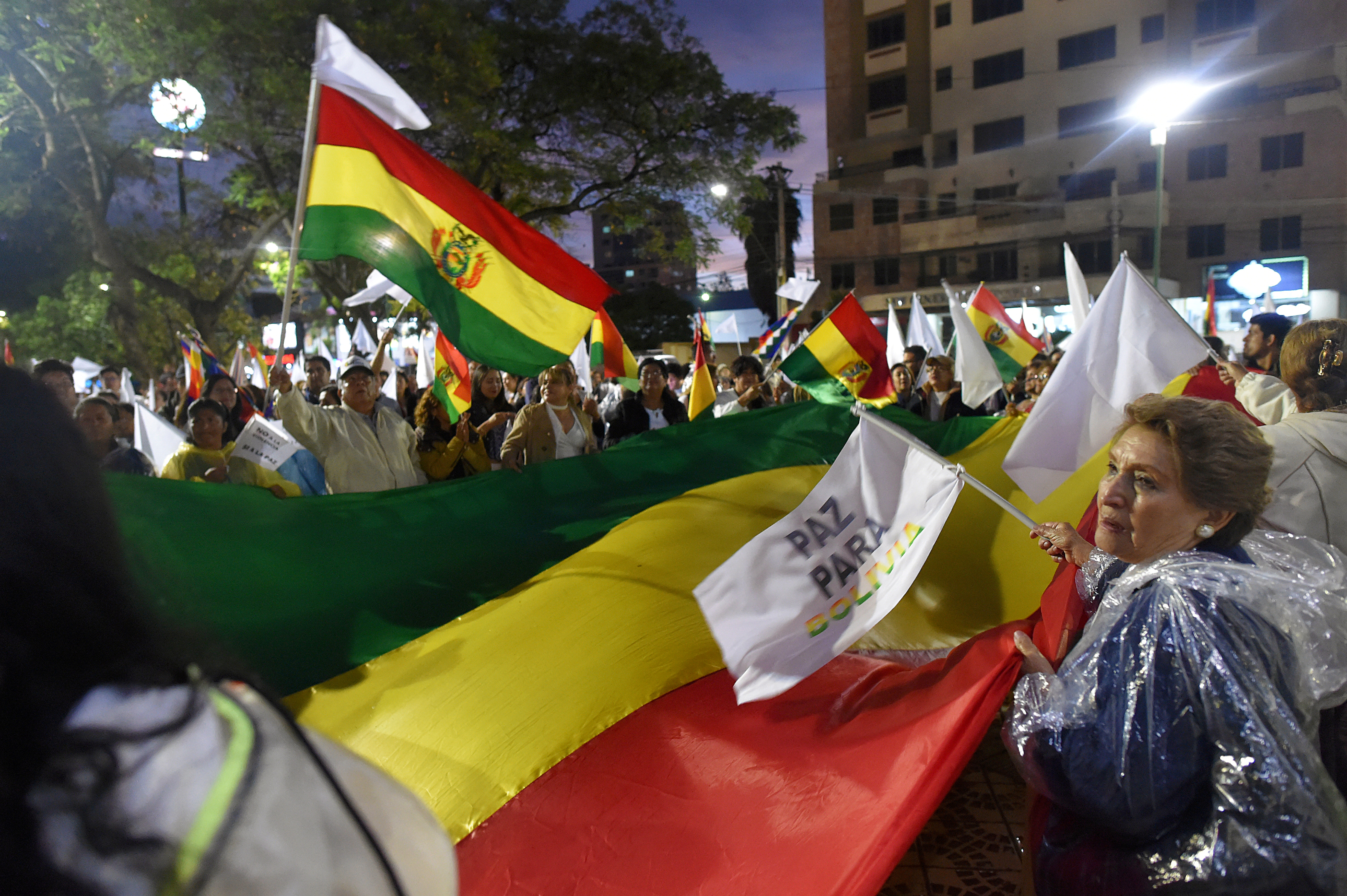 Senado aprueba proyecto de ley para elecciones en Bolivia