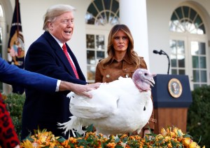 Trump perdonó a los pavos Bread y Butter en vísperas del Día de Acción de Gracias