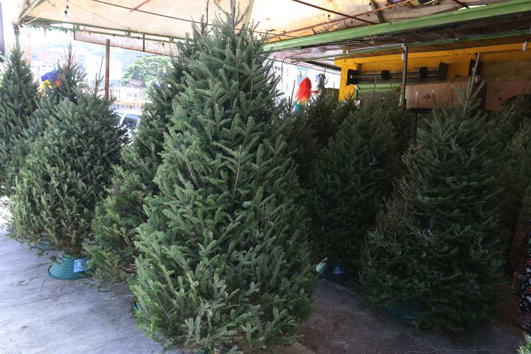 Caraqueños se preparan para la Navidad