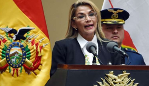 Grupo Idea se pronunció contra encarcelamiento de Áñez, expresidenta boliviana (Comunicado)