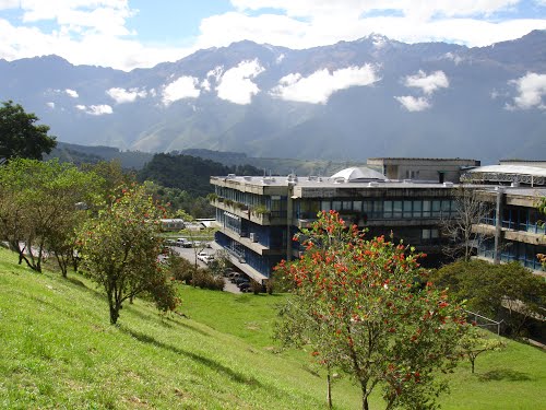 Luego de cinco años la Universidad de los Andes celebra elecciones este #29E de enero