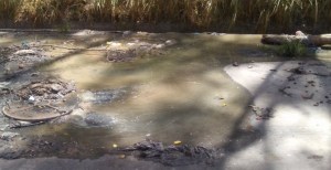 Bote de aguas servidas lleva más de 8 meses afectando a vecinos del sector Casalta 3 #11Feb