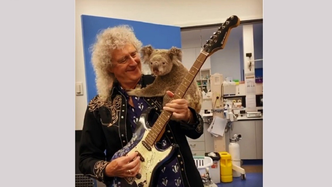 Brian May le dedicó un concierto privado a koala salvado de los incendios en Australia (Fotos y video)