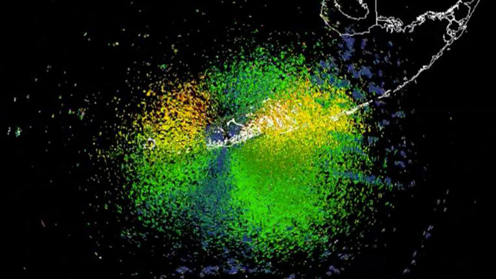 Miles de aves migratorias acuden a Key West apareciendo en radar