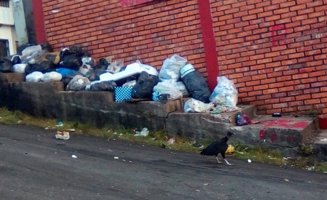 Entre zamuros y desperdicios… Hospital en Táchira se encuentra en “terapia intensiva” por cúmulos de basura